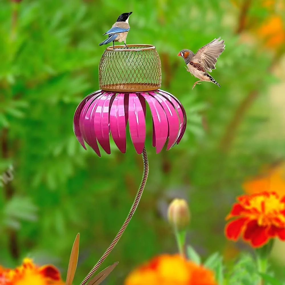 6 Best Coneflower Bird Feeders Tested in Our Backyard