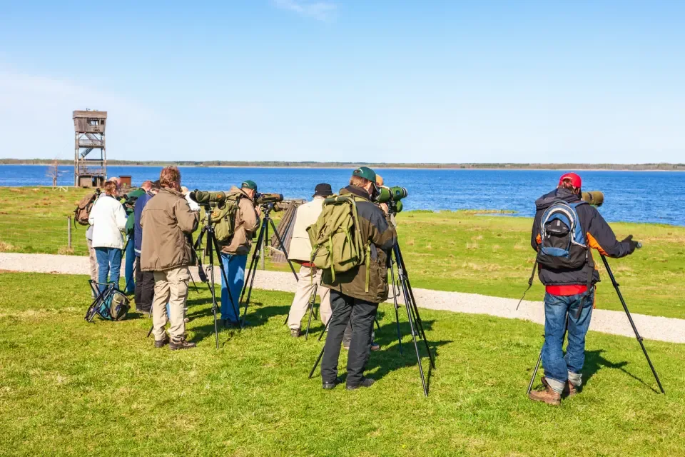 Birding Etiquette and Ethics: Have Fun and Be Safe