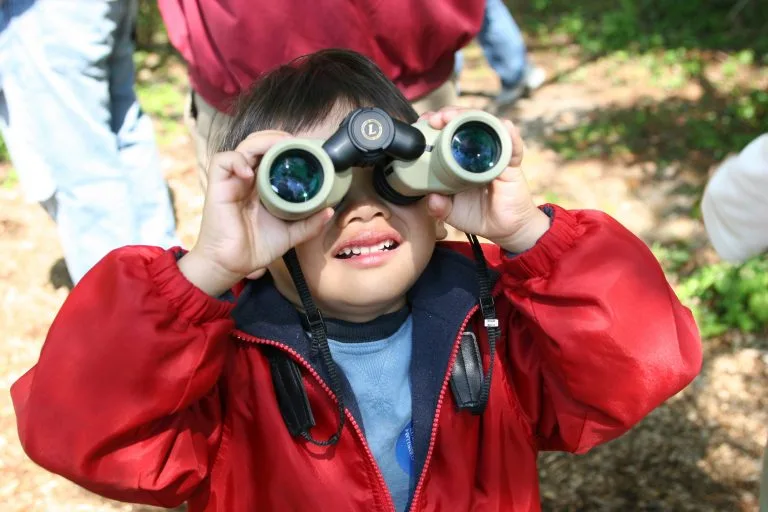 What Are the Best Tools for Bird Watching: The Ultimate Guide